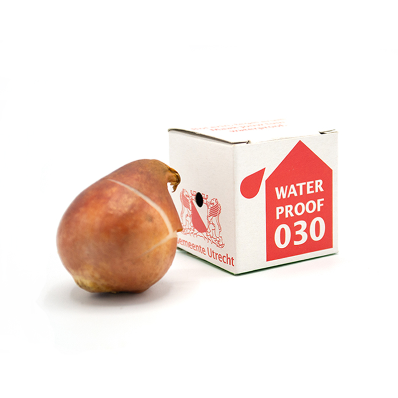 Mini blomsterloeg box